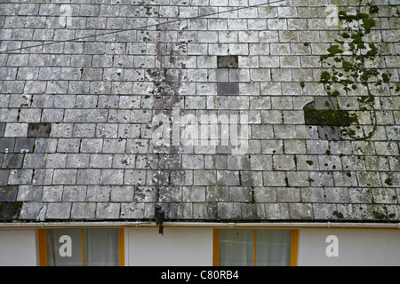 Alte verfärbte Schieferdachziegel auf einem Hausdach Stockfoto