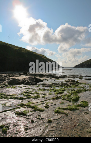 Strand in Port Quin, Cornwall, Großbritannien, Ebbe, Richtung Sonne. Stockfoto