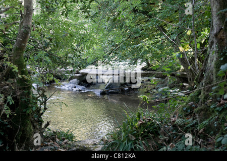 Tarr Schritte Exmoor Devon England UK Stockfoto