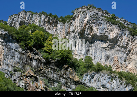 Eine raue, zerklüftete Felswand mit grüner Vegetation, Französische Alpen Stockfoto