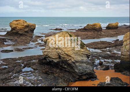 Erodierter Felsnadeln an der Plage des Cinq Pineaux bei Ebbe, Saint-Hilaire-de-Riez, La Vendée, Pays De La Loire, Frankreich Stockfoto