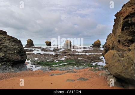 Erodierter Felsnadeln an der Plage des Cinq Pineaux bei Ebbe, Saint-Hilaire-de-Riez, La Vendée, Pays De La Loire, Frankreich Stockfoto