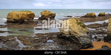 Erodierter Felsnadeln an der Plage des Cinq Pineaux bei Saint-Hilaire-de-Riez, La Vendée, Pays De La Loire, Frankreich Stockfoto