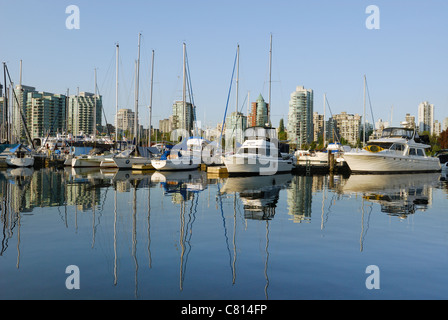 Coal Harbour Marina mit Skyline von Vancouver im Hintergrund vom Stanley Park aus gesehen. Stockfoto