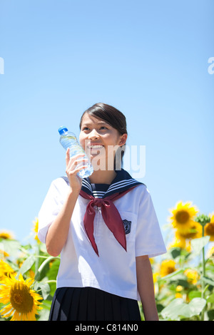 Schülerin in Sonnenblumenfeldern Stockfoto