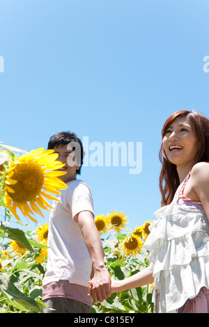 Junges Paar im Sonnenblumenfeld Stockfoto