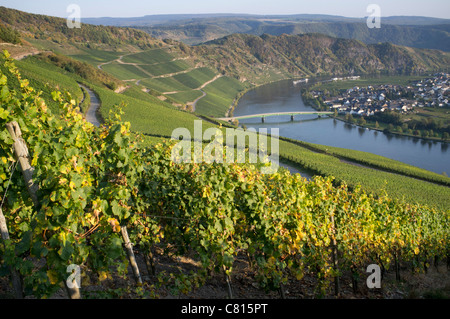 Blick auf das Dorf Piesport vom Weinberg im Moseltal in Deutschland Stockfoto