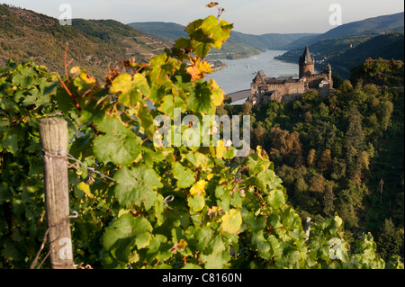 Burg Stahleck angesehen vom Weingut in Bacharach-Dorf am romantischen Rhein in Deutschland Stockfoto