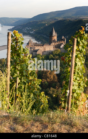 Burg Stahleck angesehen vom Weingut in Bacharach-Dorf am romantischen Rhein in Deutschland Stockfoto