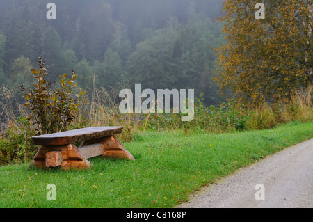 Bank neben den Bahnen auf dem Hintergrund der nebligen Dämmerung des Waldes. Norwegen Stockfoto