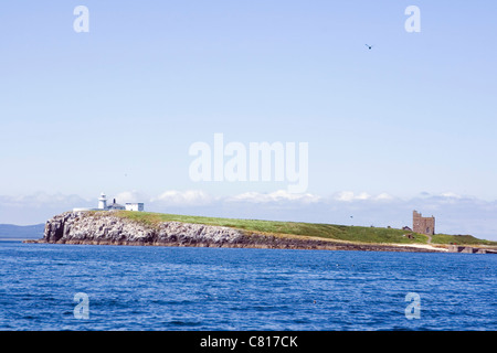 Der innere Farne Leuchtturm und Kapelle St. Cuthbert auf Inner Farne. Farne Islands, Northumberland Küste, England. Stockfoto