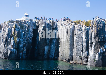 Inner Farne Leuchtturm und Touristen fotografieren die Seevogel-Kolonie. Farne Islands, Northumberland Küste, England. Stockfoto