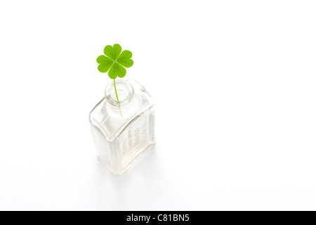 Four Leaf Clover in Glasflasche Stockfoto