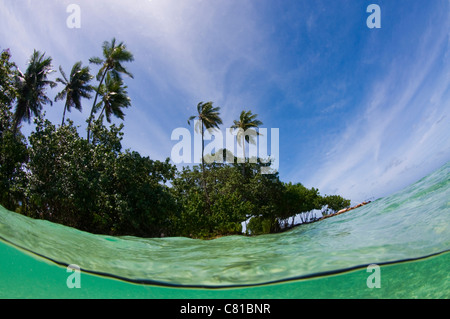 Malediven, Unterwasser Meer Leben und Fisch, Tropeninsel, Split, Fotosub, Korallenriff, Paradies, Oberfläche, Atoll, Sommer, Urlaub, Stockfoto