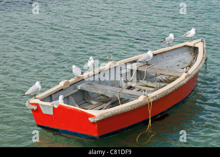 Möwen auf einem Ruderboot im Dock Stockfoto