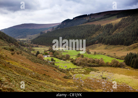 Irland, Co. Wicklow, Glenmacnass, abgelegenen Bauernhof im Tal Stockfoto