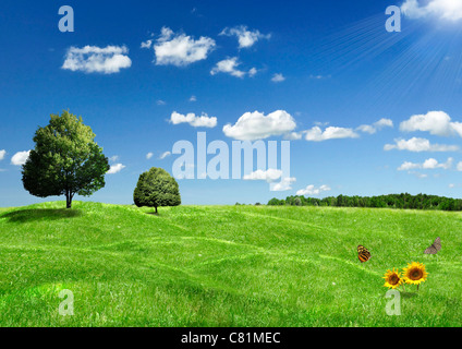 grünen Wiese mit Bäumen und Blumen vor blauem Himmel Stockfoto