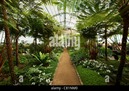 Königlichen Gewächshäuser von Laeken, Königsschloss von Laeken, Brüssel, Belgien Stockfoto