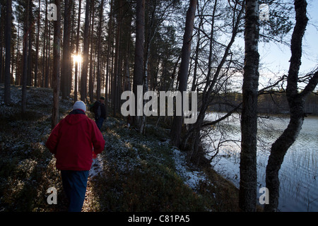 Älteres Ehepaar Wandern im Wald, Finnland Stockfoto