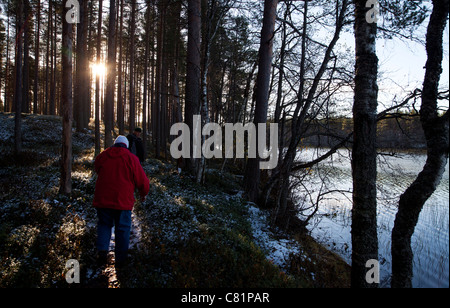 Älteres Ehepaar Wandern im Wald, Finnland Stockfoto