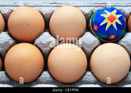 blaue Pysanka Osterei in einem Karton von braunen Eiern Stockfoto