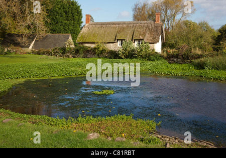 Dorf Teich Wasserfall und Reetdachhaus im Osten Quantoxhead Somerset England Stockfoto