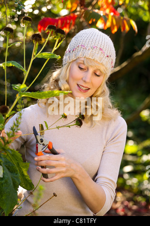 Frau Herbst Gartenarbeit Stockfoto