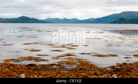 Ruhigen Gewässern am Loch Fyne in Schottland Stockfoto