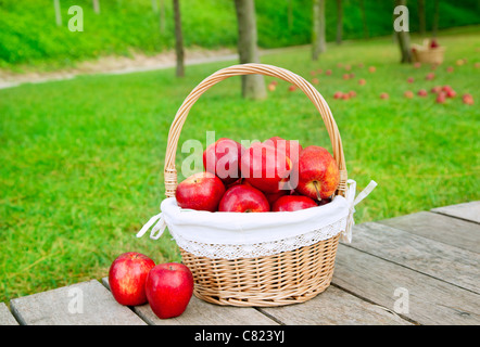 Korb mit roten Äpfeln auf Holzboden mit grünen Wiese Hintergrund Stockfoto