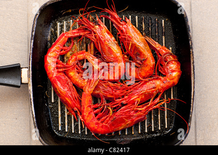 Aristaemorpha Foliacea Garnelen Aristaeopsis Edwardsiana auf grill Stockfoto