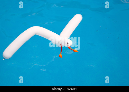 Luft-Ballon-Möwe im Aqua Wasser vorgibt, Schwimmen Stockfoto