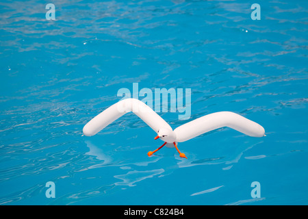 Luft-Ballon-Möwe im Aqua Wasser vorgibt, Schwimmen Stockfoto