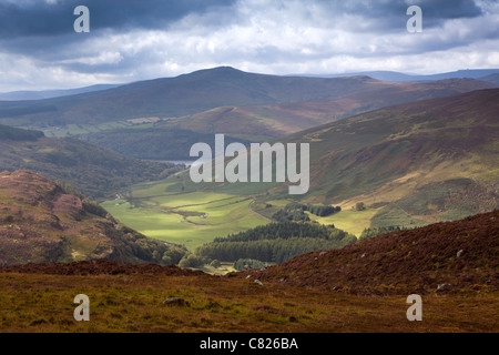 Irland, Co. Wicklow Mountains Nationalpark von Lough Dan Stockfoto