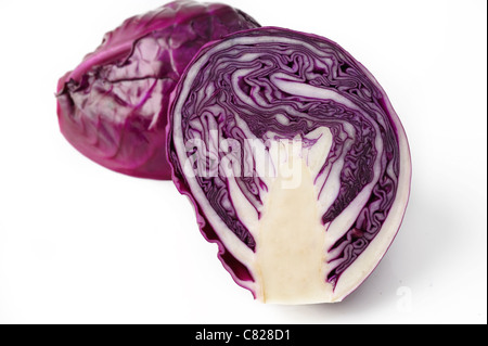 Lilakraut auf weißem Hintergrund Stockfoto