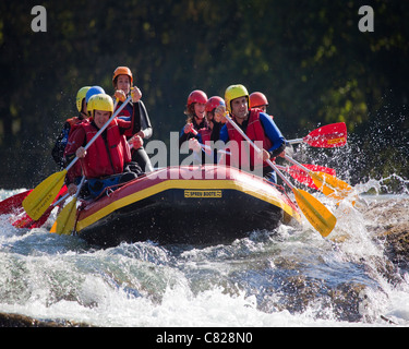 DE - Bayern: Sparren an Isar zwischen Lenggries und Bad Tölz Stockfoto