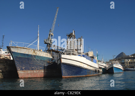 Fischerboote im Hafen, Cape Town, Western Cape, Südafrika Stockfoto