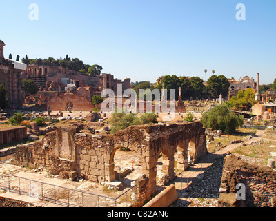 Das Forum, Rom, Italien, Europa Stockfoto