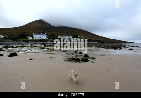 Der Strand in Dugort auf Achill Island im County Mayo genannt Golden Strand Stockfoto