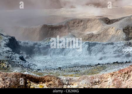 Sol de Manana Geysire (Morgensonne), bolivianischen Altiplano Stockfoto