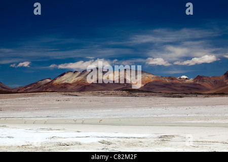 Atemberaubende Landschaft in der Reserva de Fauna Andina Eduardo Avaroa Stockfoto