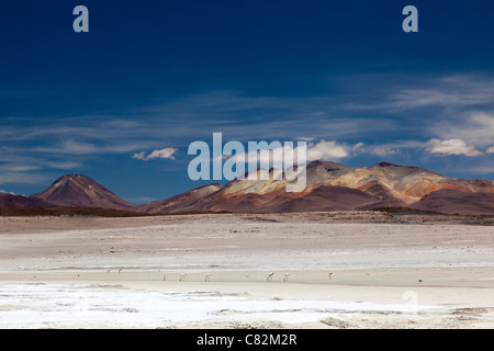 Atemberaubende Landschaft in der Reserva de Fauna Andina Eduardo Avaroa Stockfoto