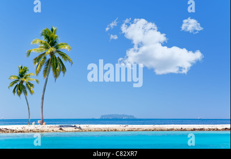 Palmen auf tropische Insel im Ozean. Stockfoto