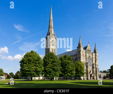 Salisbury Kathedrale, die enge, Salisbury, Wiltshire, England, UK Stockfoto