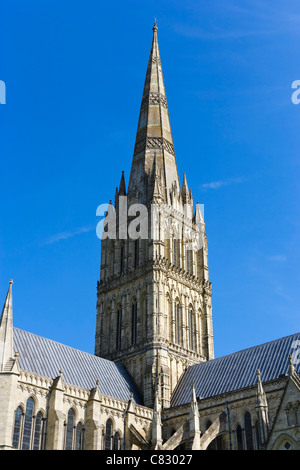 Der Turm der Kathedrale von Salisbury, die in der Nähe, Salisbury, Wiltshire, England, UK Stockfoto