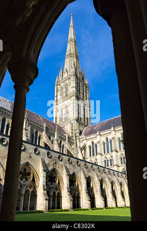 Der Turm der Kathedrale von Salisbury aus der Klöster, Salisbury, Wiltshire, England, UK Stockfoto