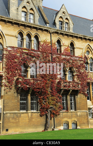Wildem Wein am Christ Church College vor dem Eingang und Fassade Oxford University England Uk Stockfoto