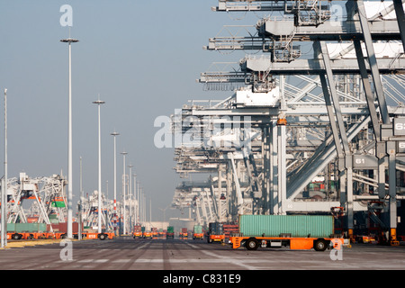 Hafenkräne und Roboter-LKW mit Containern in einem großen Hafen. Stockfoto