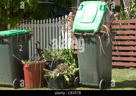 Vegetation Gartenabfälle in grünen Mülltonnen und Kartons am Straßenrand warten auf die Sammlung des council, Sydney, Australien Stockfoto