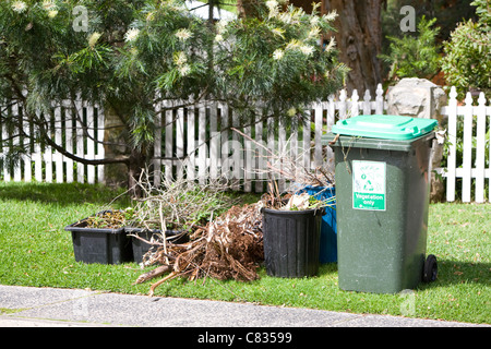 Grüne Gartenabfälle warten auf die sammlung des rates zum Recycling,Avalon,Sydney,Australien Stockfoto