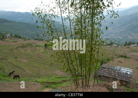 Felder und Terrassen in die Landwirte Gemeinden rund um Radi. Ost Bhutan Stockfoto